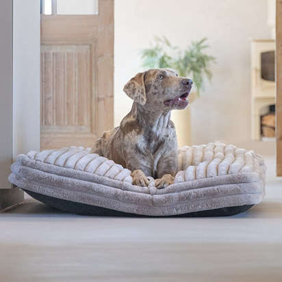 prospekt oktober bubblenavi s3 412x412